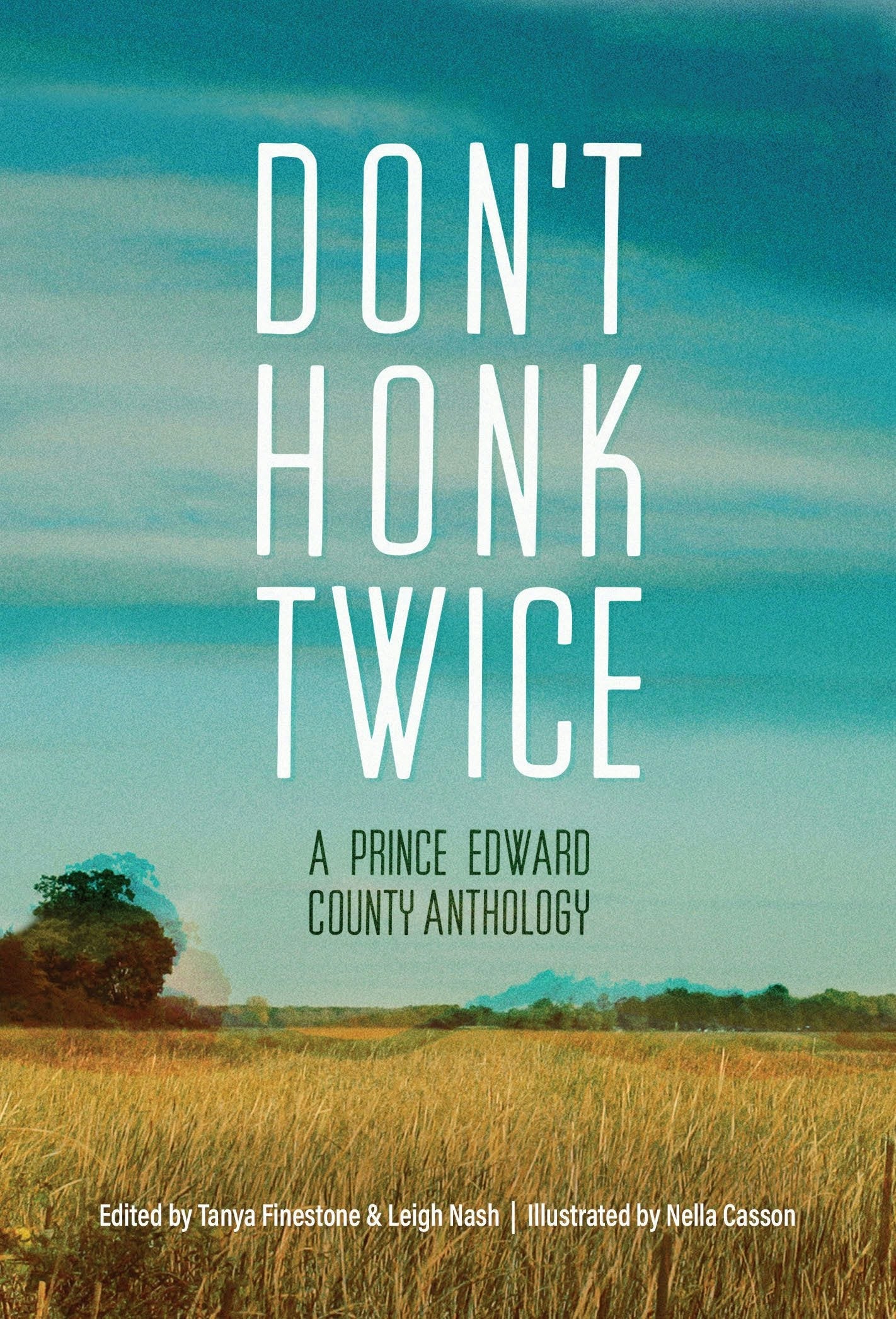 Book cover image for Don't Honk Twice ISBN: 9781998336135
